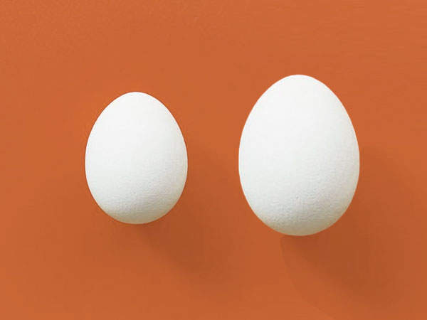 সাইজে বড় হয়