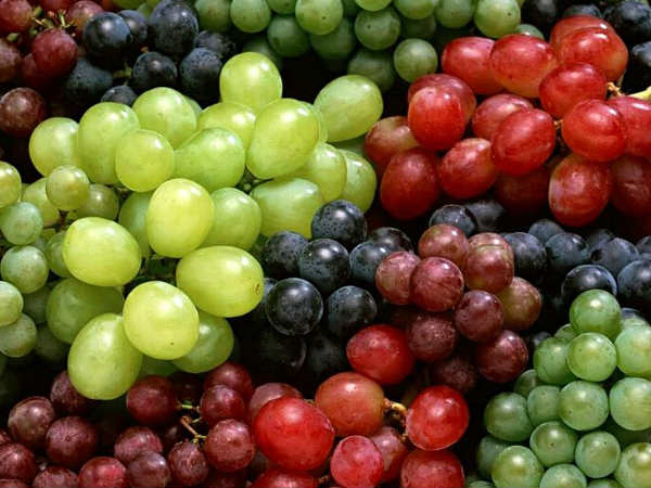 Eating Grapes While Pregnant