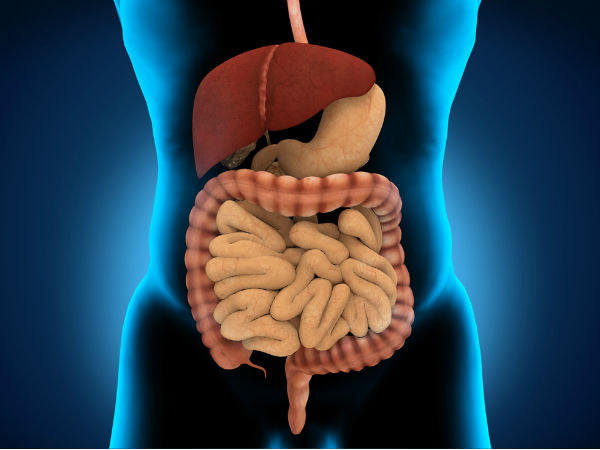 yogurt helps digestion