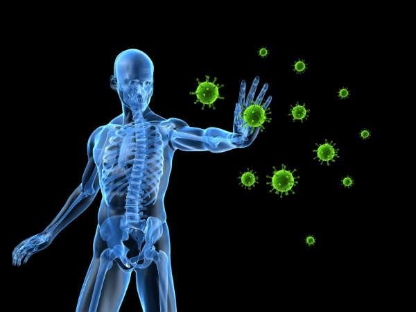 yogurt helps To Improves immunity