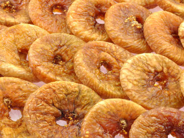 ডুমুর