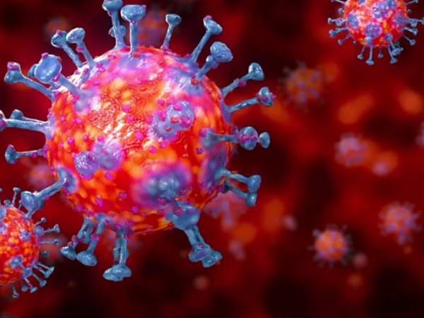 সাইটোমেগালো ভাইরাস (Cytomegalovirus) কী?