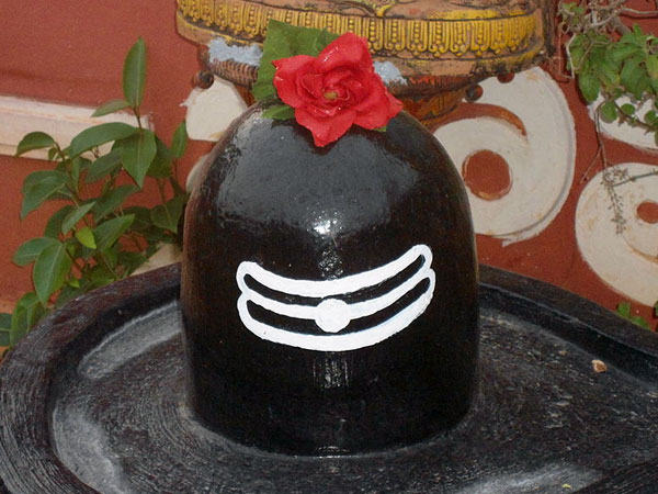 কুমারী মেয়েদের জন্য ফলপ্রসূ