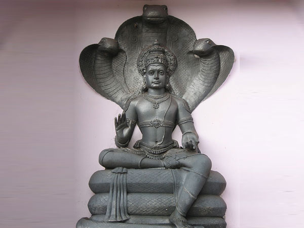 ১৩ অগস্ট ২০২১ : নাগ পঞ্চমী