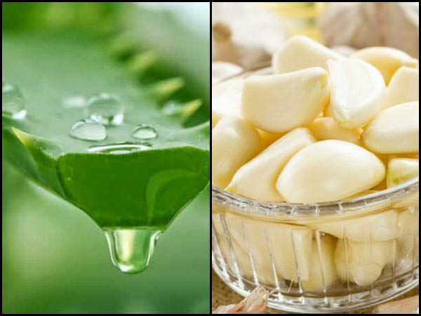 ৪) রসুন এবং অ্যালোভেরা