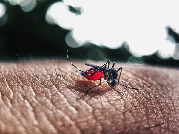 এটি কেন এত উদ্বেগজনক?