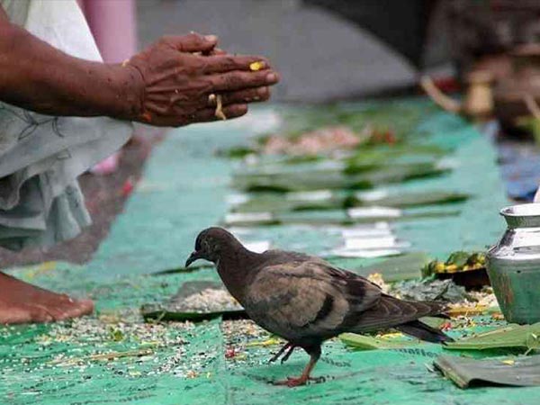 পিতৃপক্ষ ২০২১-এর শ্রাদ্ধানুষ্ঠানের দিনক্ষণ