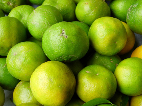 ৯) কোষের ক্ষতি রোধ করে