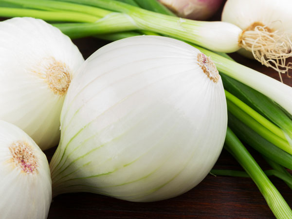 Health Benefits Of White Onion