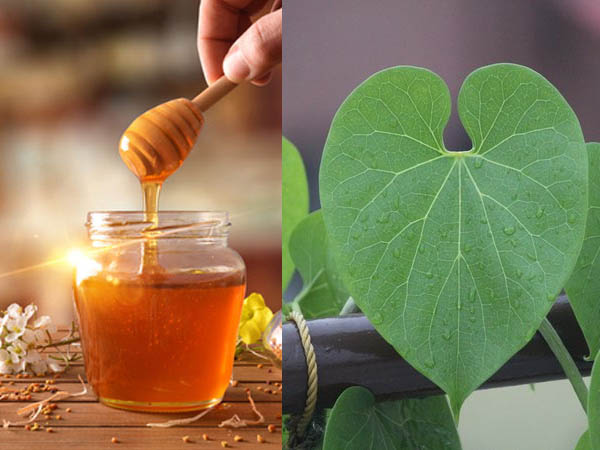 মধু এবং গিলয়