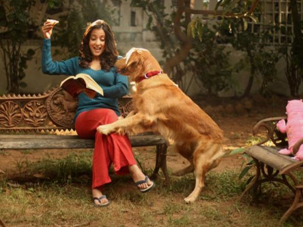 ৫) হ্যাপি হরমোন বৃদ্ধি করে