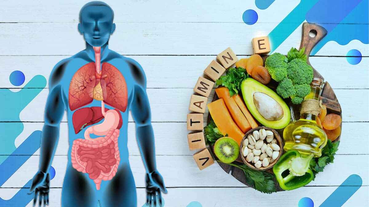 Vitamin E Rich Foods ত্বক ও চুল সুস্থ রাখে, পেশির দুর্বলতাও কমায়