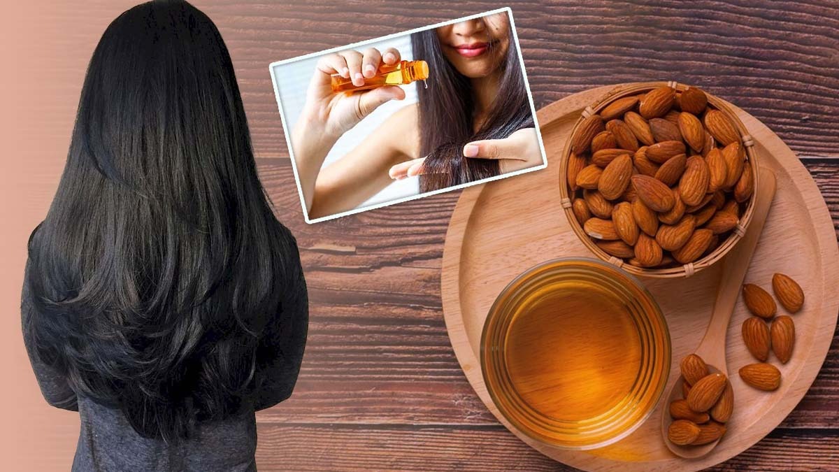 Almond Oil for Hair প্রতিদিন গোছা গোছা চুল উঠছে? আমন্ড অয়েল ব্যবহারেই