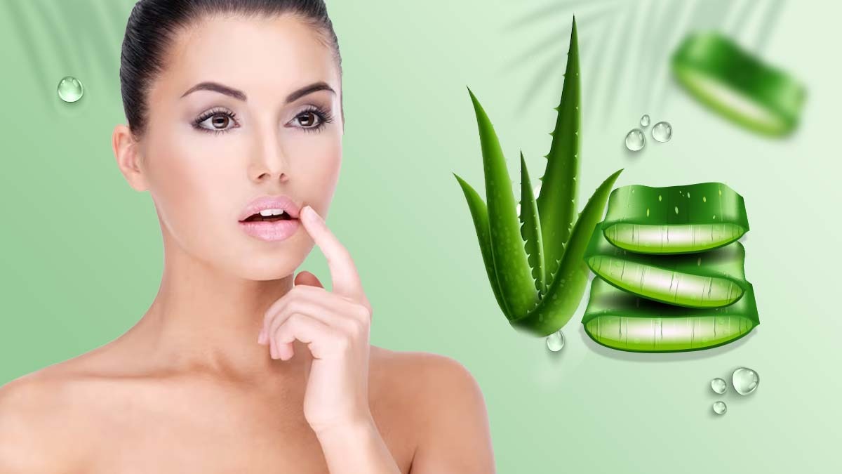 Aloe Vera for Lips অ্যালোভেরার গুণেই ঠোঁট হবে নরম, মসৃণ! ব্যবহার করবেন