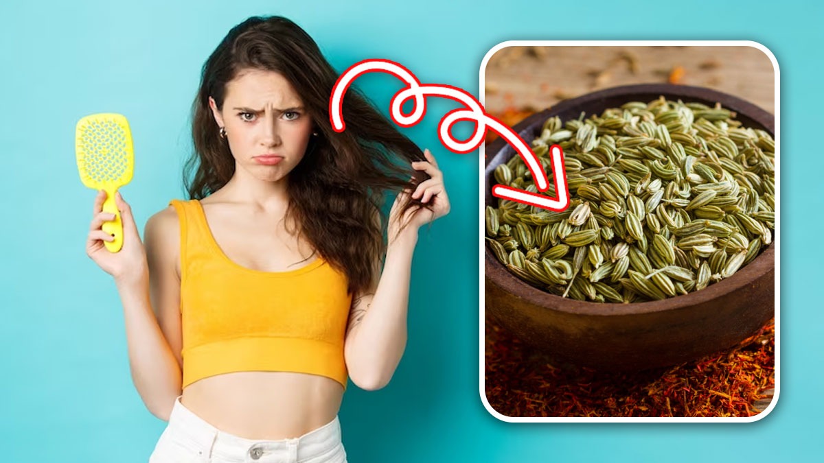 মাথায় হাত দিলেই মুঠো মুঠো চুল উঠে আসছে? মৌরির ম্যাজিকেই বন্ধ হবে চুল