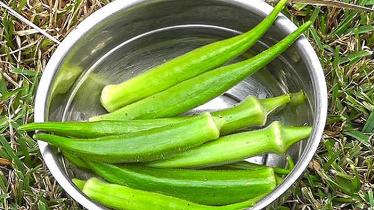 ঢ্যাঁড়শ খুব তাড়াতাড়ি পচে যায়? কী করে বেশি দিন টাটকা রাখবেন? Tips