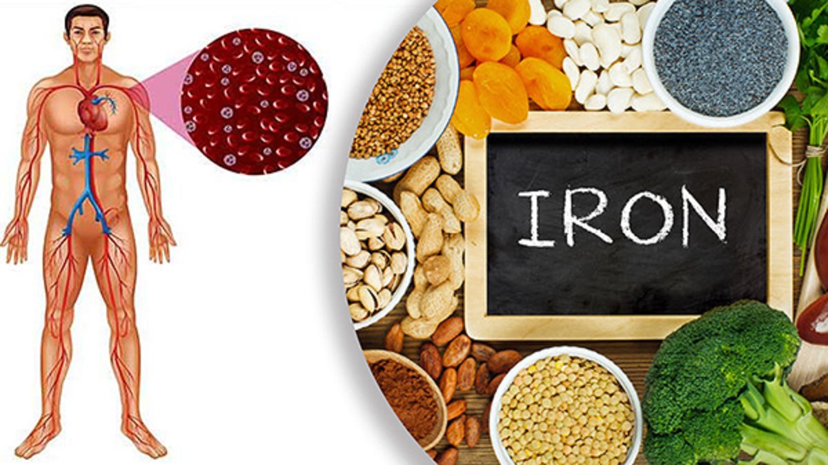 শরীরে আয়রনের ঘাটতি হয়নি তো? কোন কোন লক্ষণ দেখে তা বুঝবেন Iron