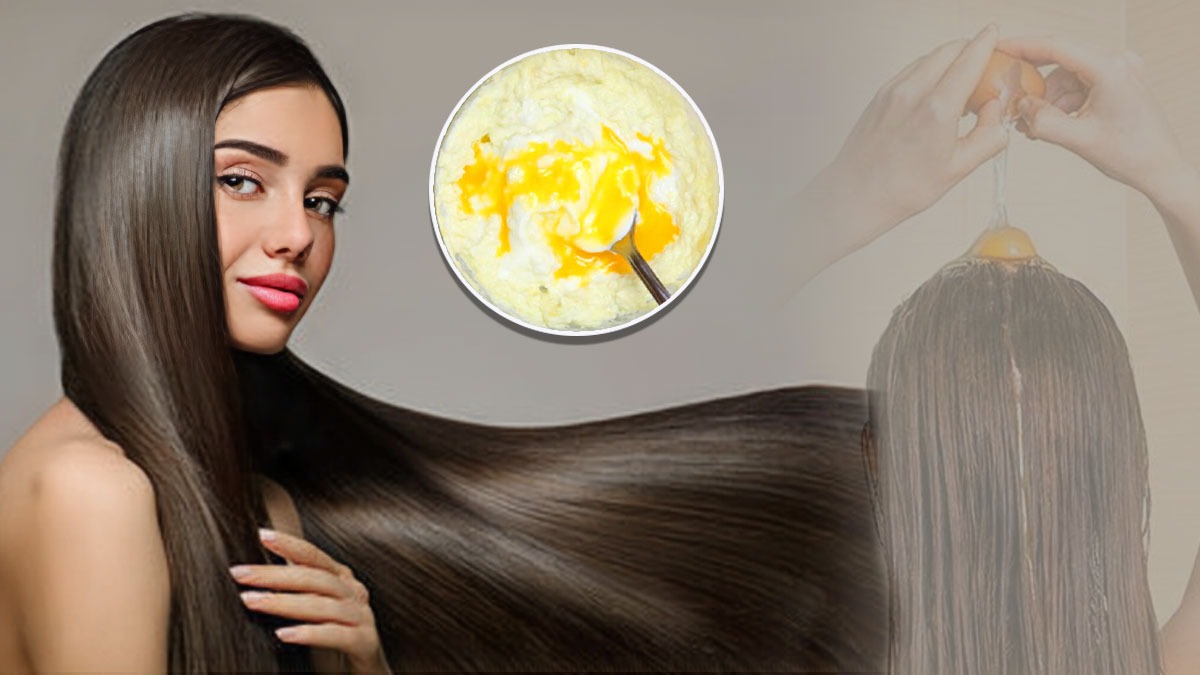 Winter Hair Care শীতে বেড়েছে খুশকি? সপ্তাহে এক বার এই হেয়ার মাস্ক